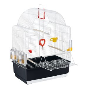 Canary and small exotic bird cage